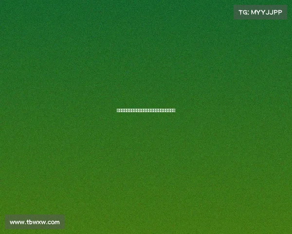 围绕赛事服务核心内容打造全流程覆盖专业化服务体系